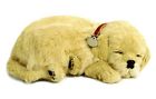 5519717 Perfect Petzzz Golden Retriever Plush 794628129860