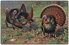 Ew10121-20x34 Brumlow Mills Grounded In Tradition Wild Turkey Rug 034145817704