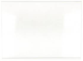 890212018 Insignia Refrigerator Glass Shelf