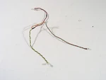 Vizio Led Backlight Strip Wire Connectors For VFD40M-0804. Fixed Price $14.89.