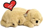 Golden Retriever - The Breathing Puppy Perfect Petzzz. Fixed Price $46.65.