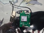Tcl 40S350R Wifi Module G0303-000200, D31R1601F. Fixed Price $13.50.