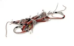 Vizio M55-C2 Led Backlight Strips Cables. Fixed Price $24.95.