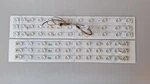 Samsung 2012FUNAI50 3228 L12 And R11 Led Strip Set. Fixed Price $22.00.