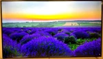 Viewsonic 86" 4K Uhd Digital Signage Direct-led Display Monitor 16:9 CDE8620. Fixed Price $999.99.