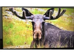 Samsung 4K Bed-h Business Pro Tv Commercial Signage Display BE98D-H. Fixed Price $1699.99.
