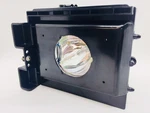 Replacement Lamp & Housing For The Samsung HLP5063W Tv. Fixed Price $78.99.
